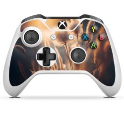 Foils for Controller glossy