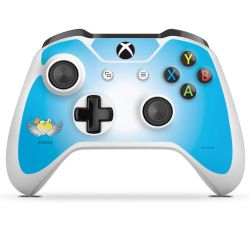 Folien für Controller matt