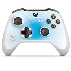 Folien für Controller matt