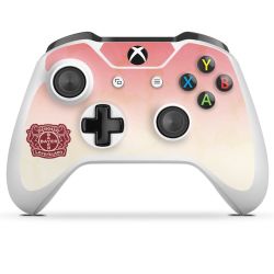 Folien für Controller matt