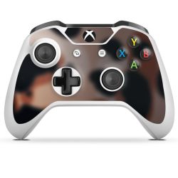 Foils for Controller matt