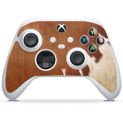 Foils for controller glossy