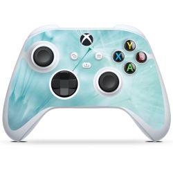 Foils for Controller glossy