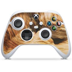 Foils for Controller glossy