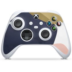 Foils for Controller glossy