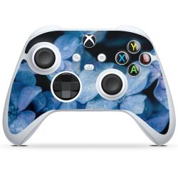 Foils for Controller glossy