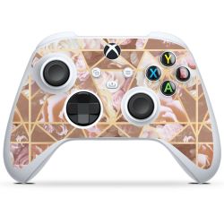 Foils for Controller glossy