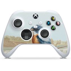 Foils for Controller glossy