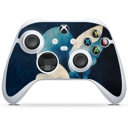 Foils for Controller glossy