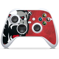 Foils for Controller glossy