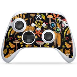 Folien für Controller glänzend