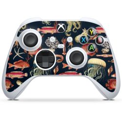 Folien für Controller glänzend