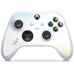 Folien für Controller glänzend