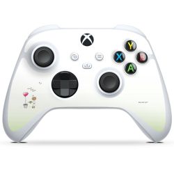 Folien für Controller glänzend