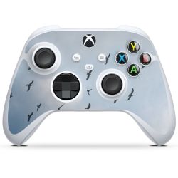 Foils for Controller glossy
