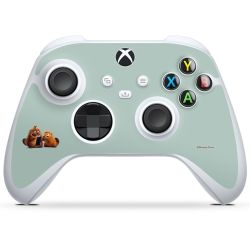 Foils for controller glossy