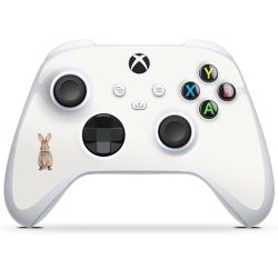 Foils for controller glossy