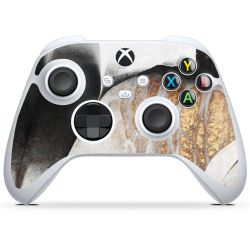 Foils for Controller matt