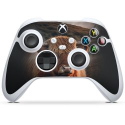 Folien für Controller matt