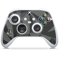 Folien für Controller matt