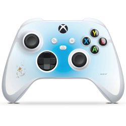 Folien für Controller matt