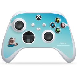 Foils for Controller matt