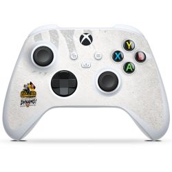 Folien für Controller matt