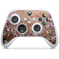 Foils for Controller matt