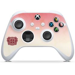 Folien für Controller matt