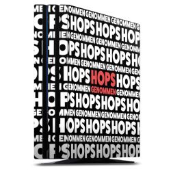 Folien für Spielekonsolen matt