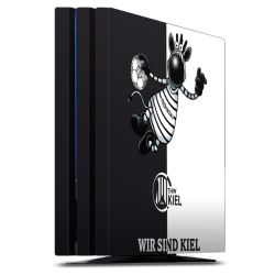 Folien für Spielekonsolen matt