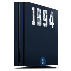 Folien für Spielekonsolen matt