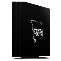 Folien für Spielekonsolen matt