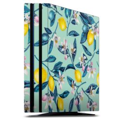 Folien für Spielekonsolen matt