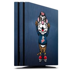 Folien für Spielekonsolen matt