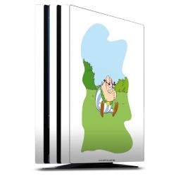 Folien für Spielekonsolen matt