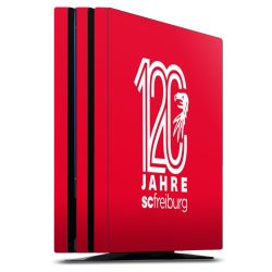 Folien für Spielekonsolen matt