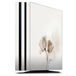 Folier Konsoler matt