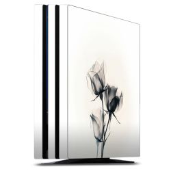 SkinVinyyli Konsoleille mattapinta