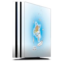 Folien für Spielekonsolen matt