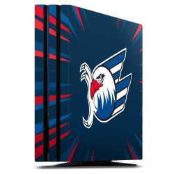 Folien für Spielekonsolen matt