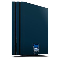 Folien für Spielekonsolen matt