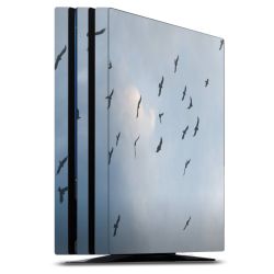 Foils for Consoles matt