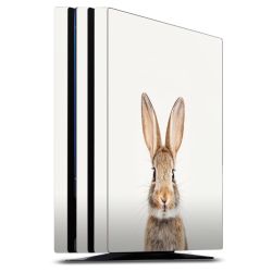 SkinVinyyli Konsoleille mattapinta