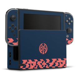 Folien für Spielekonsolen matt