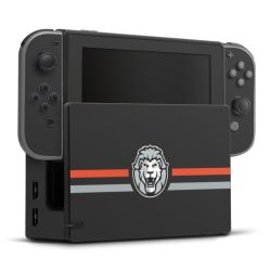 Folien für Spielekonsolen matt