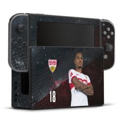 Folien für Spielekonsolen matt