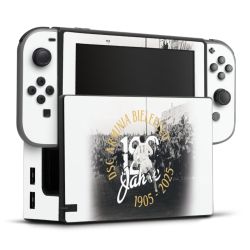 Folien für Spielekonsolen matt