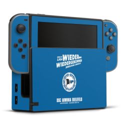 Folien für Spielekonsolen matt