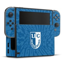 Folien für Spielekonsolen matt